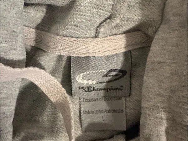 Champion Light Gray Zip-Up Hoodie - Image 2