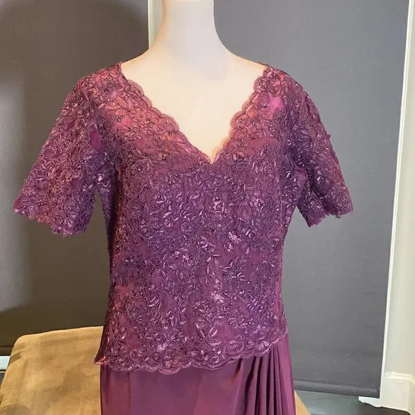 Women’s Full Length Purple Short Sleeve Chiffon Dress Lace Appliqué Size 10 - Image 2