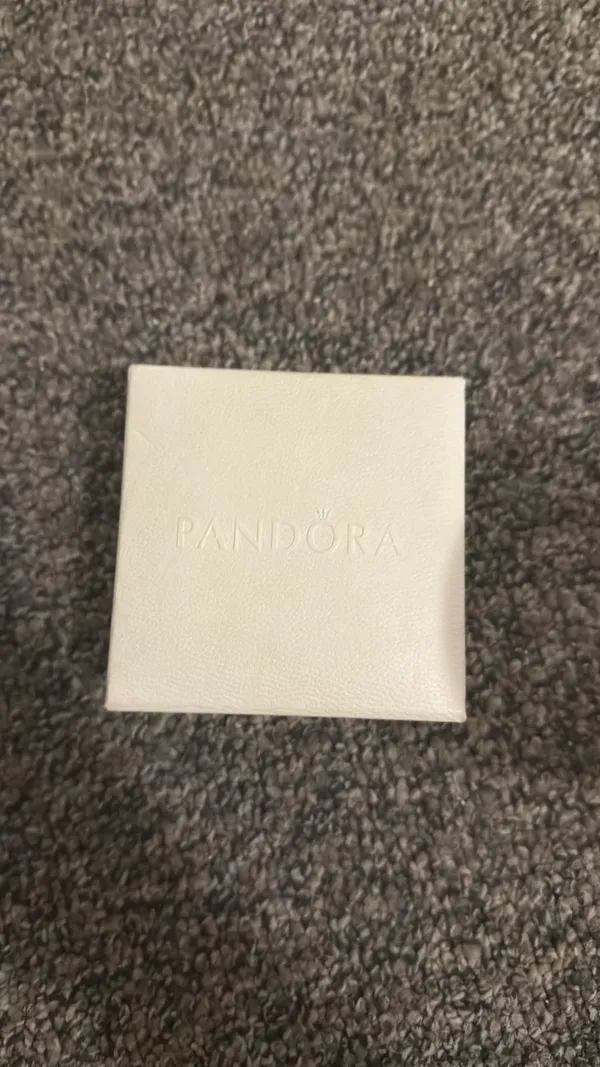 Pandora Charm Bracelet - Image 2