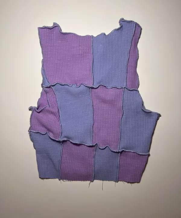 Checkered Colorblock Raw Edge Crop Top - Image 4