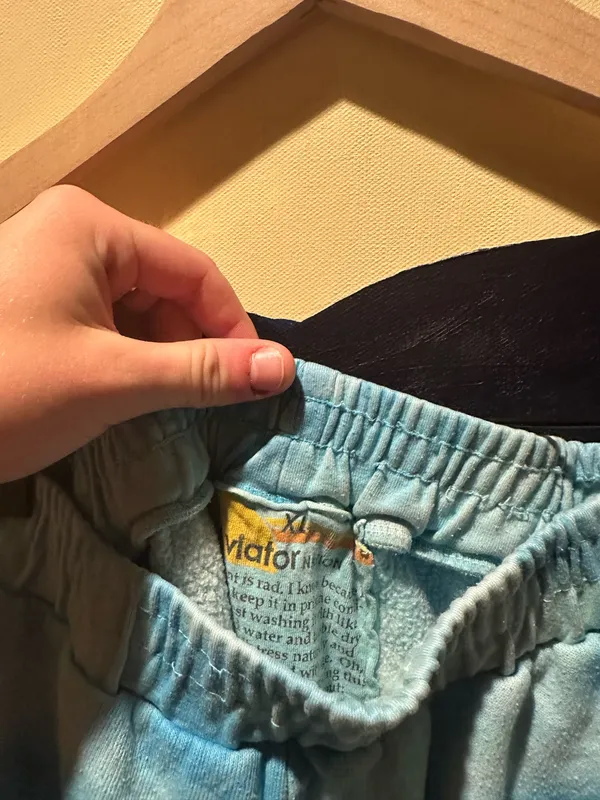 Aviator Nation Sweatshorts - Image 5