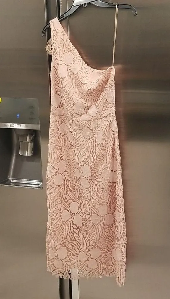 💕REISS💕 Mena One-Shoulder Crochet Lace Dress ~ Nude US 6 NWT - Image 6