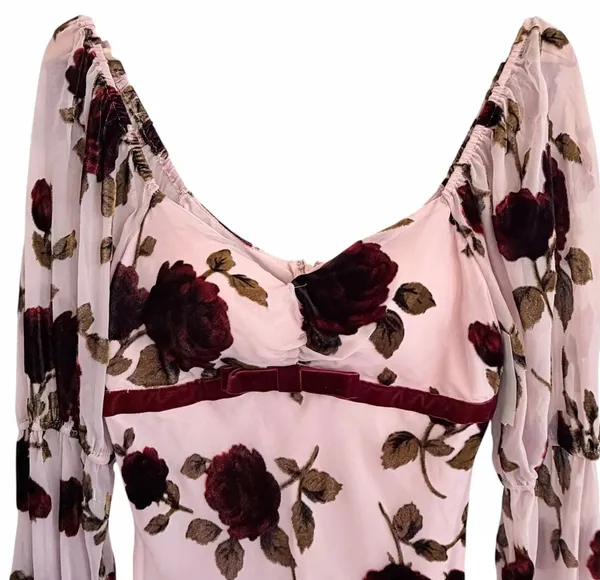 Avec Les Filles Whimsigoth Floral Velvet Burnout Mini Dress Size 8 Dark Coquette - Image 3