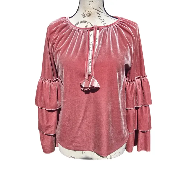 MISA‎ Los Angeles Harlow Top Dusty Rose Velvet Ruffle Sleeve Tassel Blouse Small - Image 3