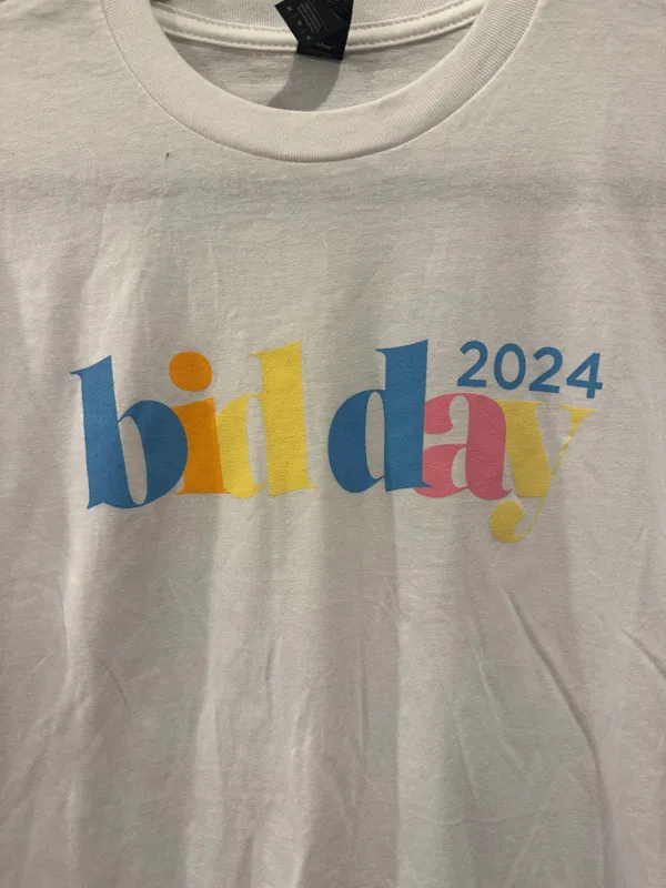 Comfort Colors 2024 Collegiate Sorority Panhellenic Bid Day - Image 3