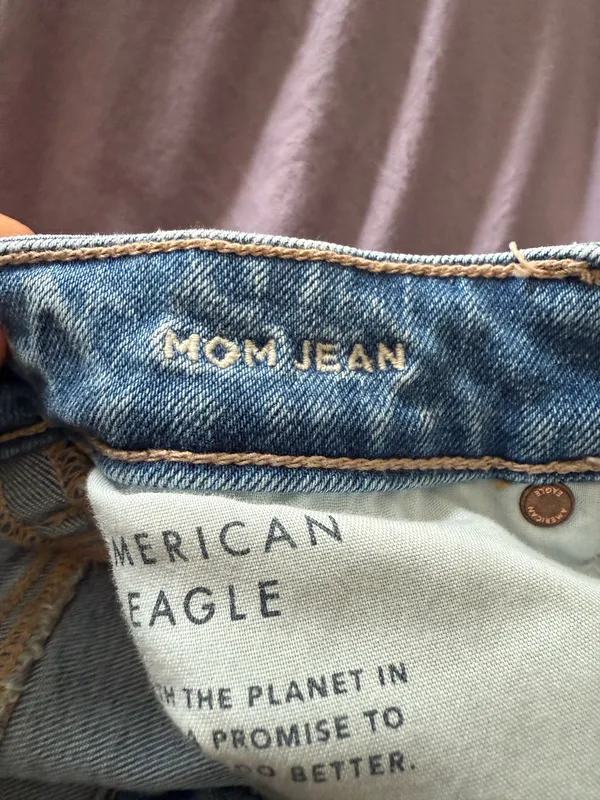 American Eagle Strigid Mom Jeans Distressed - Image 3