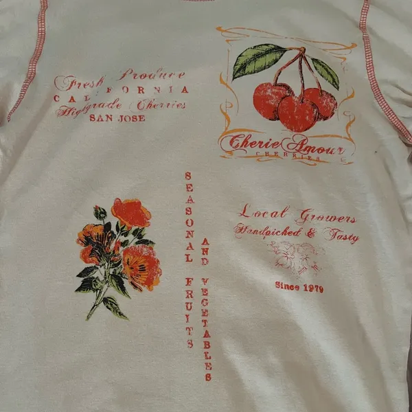 Urban Outfitters Cherie Amour Long Sleeve Baby Tee - Image 3