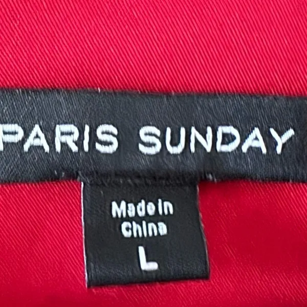 PARIS SUNDAY Red Sateen V Neck Dress Sleeveless Fit Flare Women’s Sz L Cocktail - Image 9