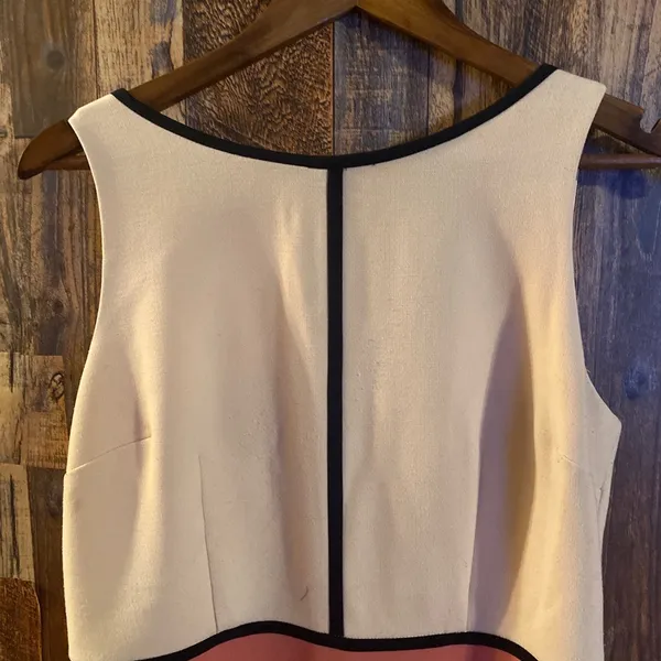 Ann Taylor Loft color block dress (Pink) size 8 - Image 5
