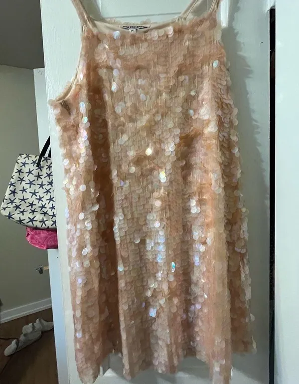Walter Baker Sequin Mini Dress ✨ 🪩 - Image 4