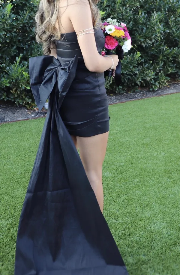 Windsor Homecoming  Dress  - Image 2