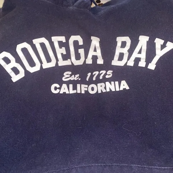 ✨ Bodega Bay California Est 1775 Unisex Hoodie✨ - Image 2