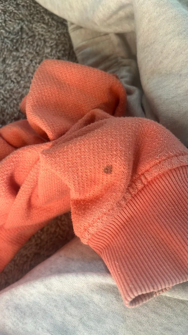 Sweatshirt - Image 4