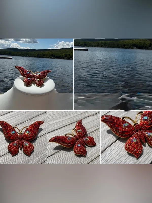 Red Crystal Butterfly Brooch - Women Jewelry - Image 8