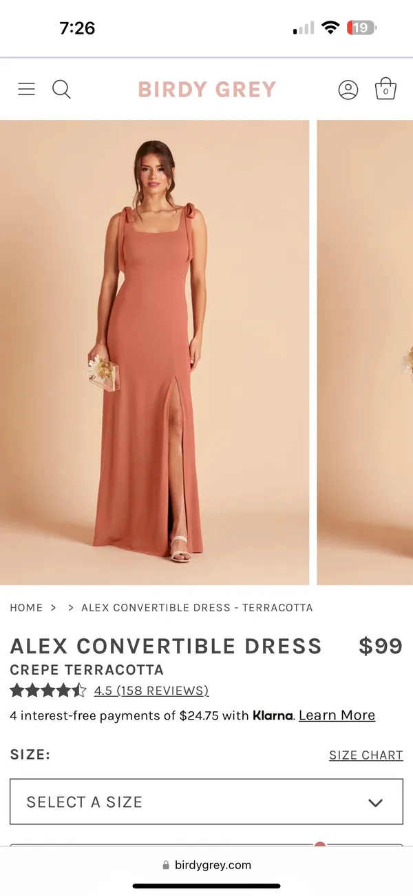 Birdy Grey terracotta Bridesmaid Dress - Image 2