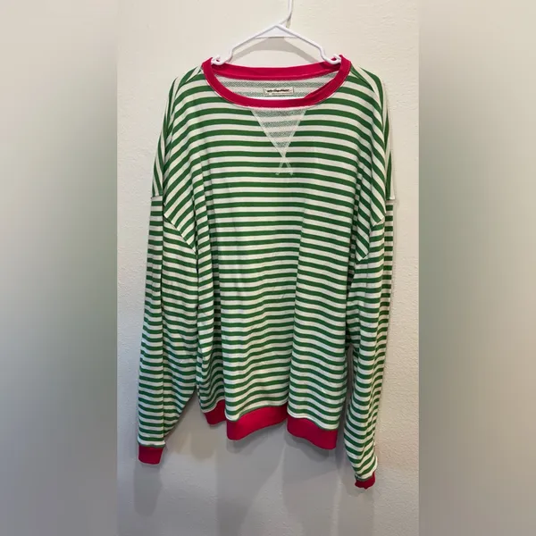 We The Free NWOT Free People Classic Striped Oversized Crewneck Green Top Size L - Image 2