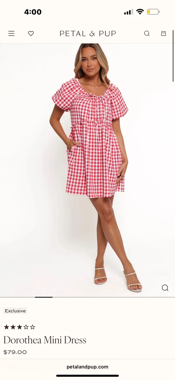 Petal and pup gingham dress  - Image 2