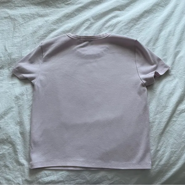 Aritzia villa pink besthug little ribbed tshirt - Image 3