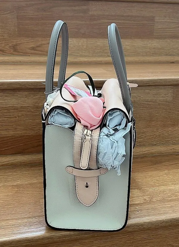 spencer medium satchel Bag Parchment - Image 5