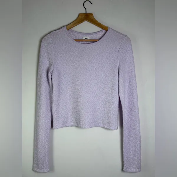 Aerie Lavender Women’s Textured Cropped Long Sleeve Top Coquette Balletcore Sz M - Image 2