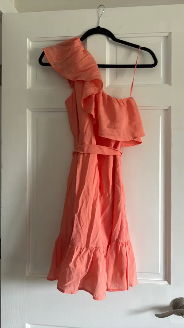 Express Dress - Image 2