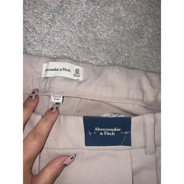 NWT abercrombie beige wide leg dress pants pleated 35/20R Curve Love Plus Sloane - Image 4