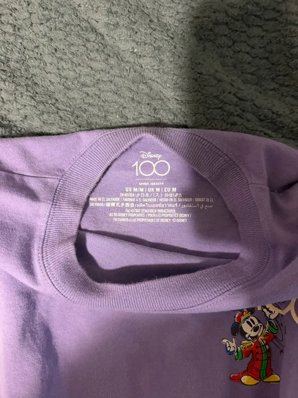 Disney Disneyland Spirit Jersey - Image 3