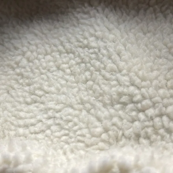 PacSun Sherpa Lined Jean Jacket Size XS - Image 8