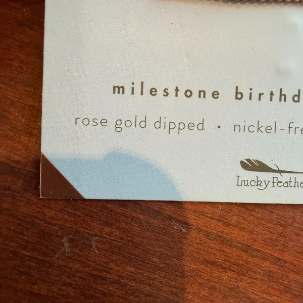 Lucky Feather 25th Birthday Milestone Birthday Bracelet Rose Gold Dipped NWT New - Image 5