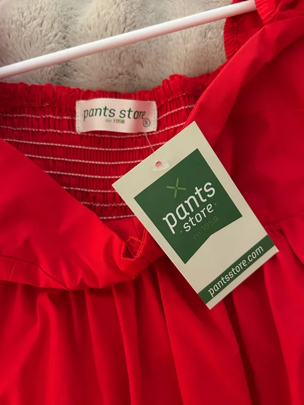 The Pants Store Red Mini Dress - Image 4
