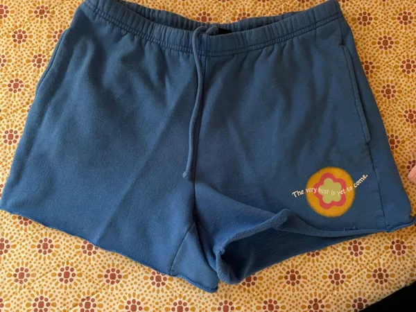 PacSun Shorts - Image 2