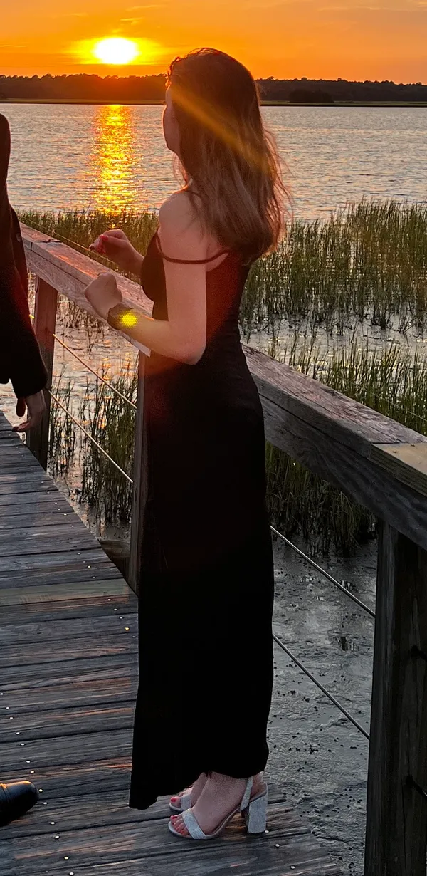 superdown Analisa Maxi Dress - Image 4