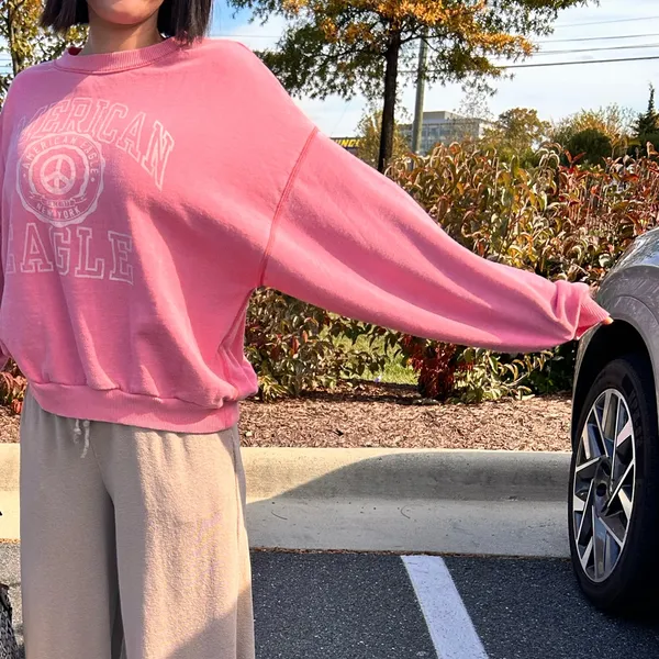 American Eagle Outfitters Sweatshirt. M - Image 4