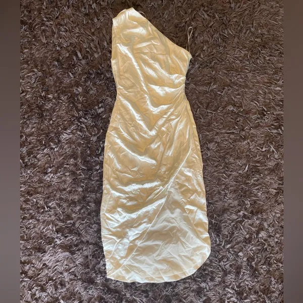 Cassini Dress in Ivory - Image 4