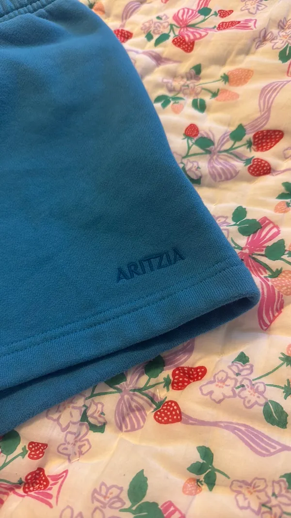 Aritzia Shorts TNA - Image 3