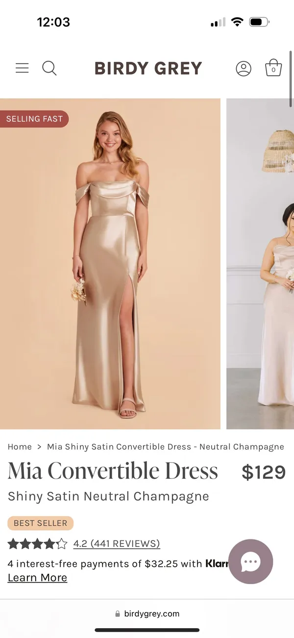 Birdy Grey Bridesmaid Dress - Image 2