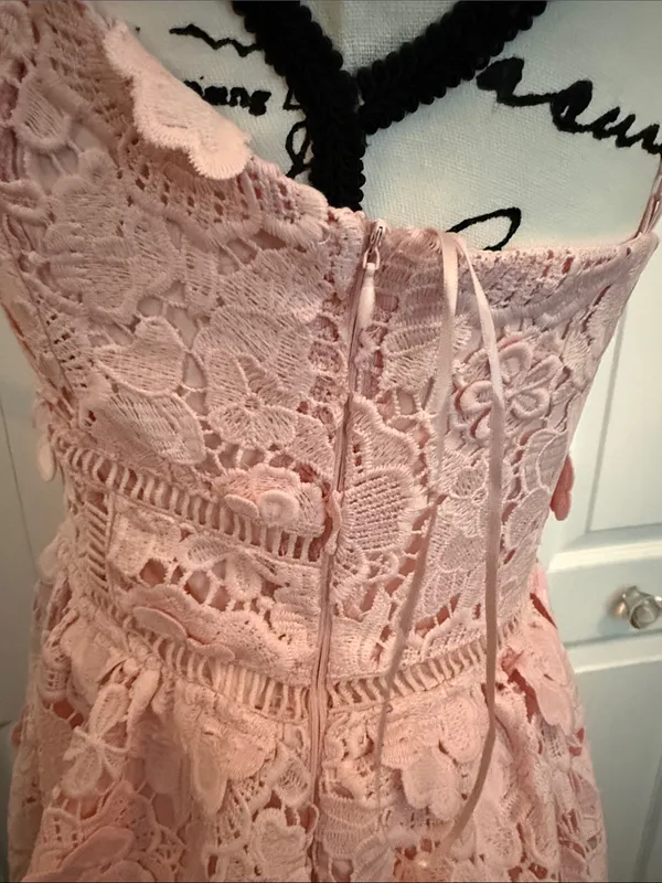 Altar'd State Pink Lace Spaghetti Strap Fit-and-Flare Dress - Image 9