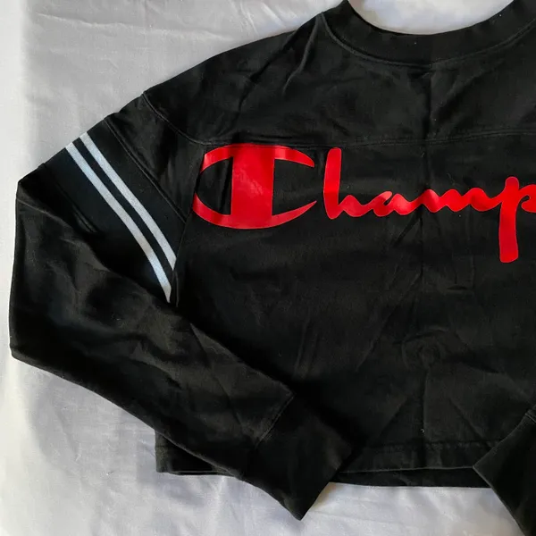 Champion Crop Top Sweater - Image 3