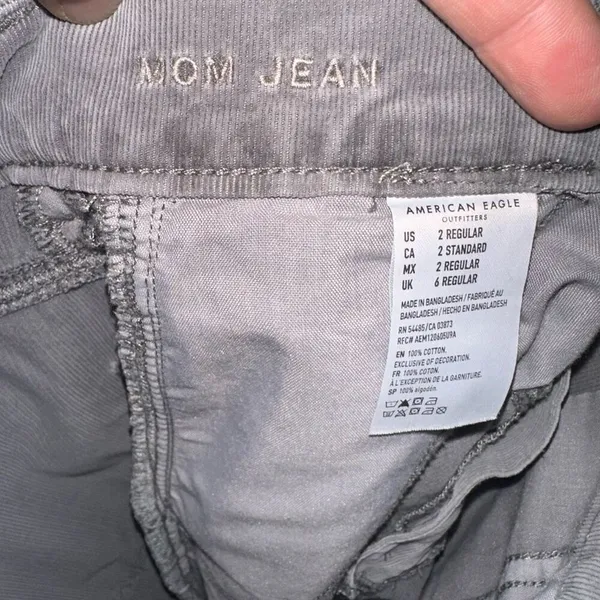 American Eagle gray corduroy 2 Mom jeans normcore pants - Image 3