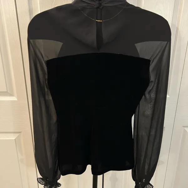 Boutique Thick Velvet Sheer long sleeve ruffle bottom sleeve top - Image 5