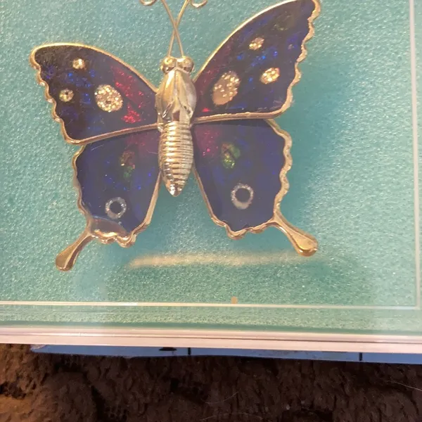 FINAL MARKDOWN butterfly pin - Image 2