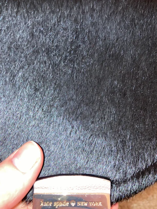 Purse - Image 3