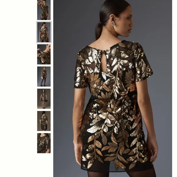 Anthropologie Short-Sleeve Sheer Embellished Mini Dress - Image 4