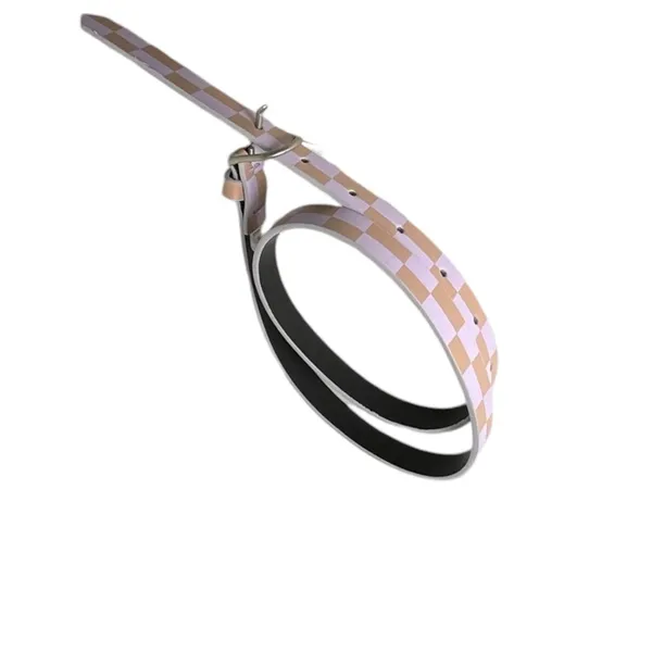 Target Checkered lavender brown belt‎ - Image 2