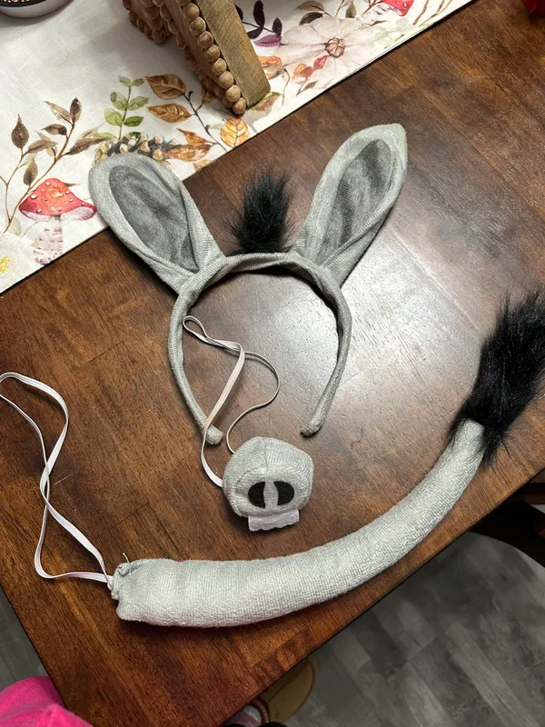 Shrek Halloween Costume Silver - Image 2