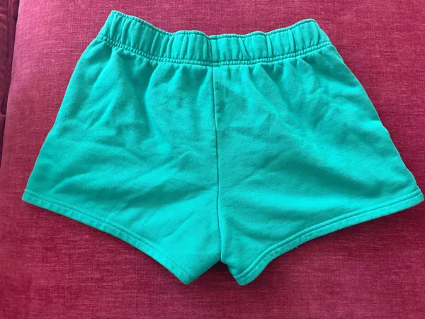 Alo Yoga Green Shorts Very Rare Color  - Image 4