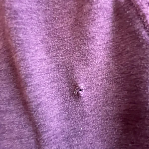 Beyond Yoga Leggings (flawed) - Image 5
