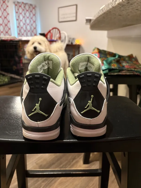 Jordan 4 - Image 4
