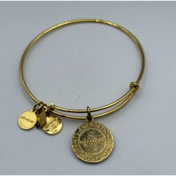 Alex And Ani Lemon Fruit Gold Expandable Charm Bracelet - Image 2