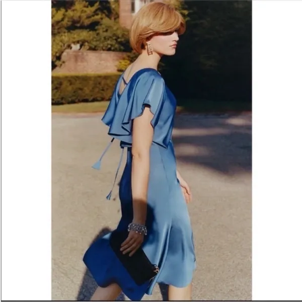 ANTHROPOLOGIE Sachin & Babi Ruffled Maxi Dress V-Neck Flutter Sleeves Blue 8 - Image 6
